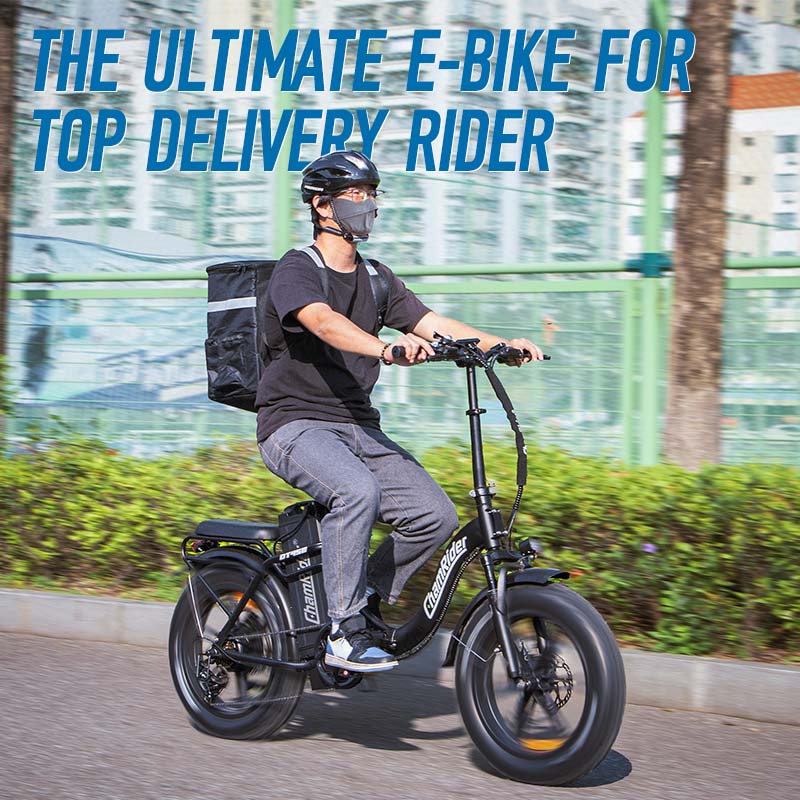 ChamRider DT450 Electric Bike