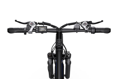 DUOTTS C29 Pro Electric Mountain Bike