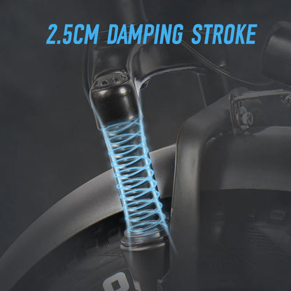 ChamRider DTS425 Electric Bike