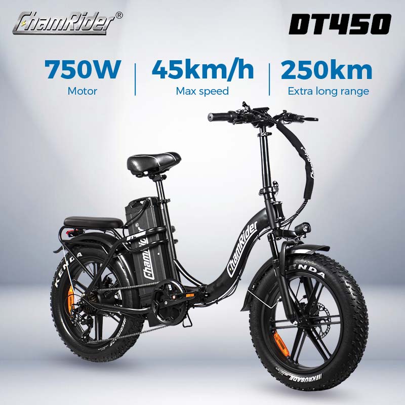 ChamRider DT450 Electric Bike