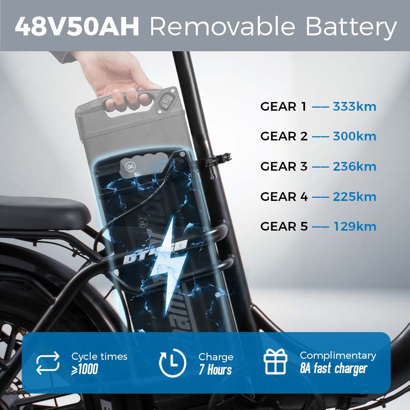 ChamRider DT450 Electric Bike