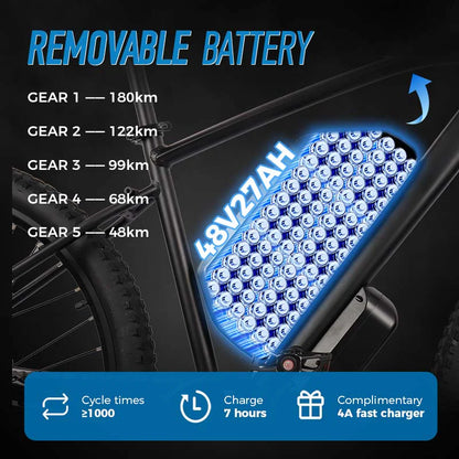 ChamRider DM427 Electric Bike