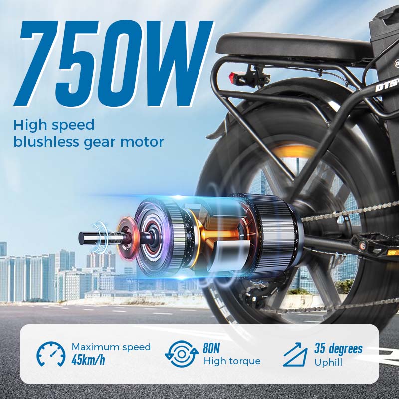 ChamRider DTS425 Electric Bike