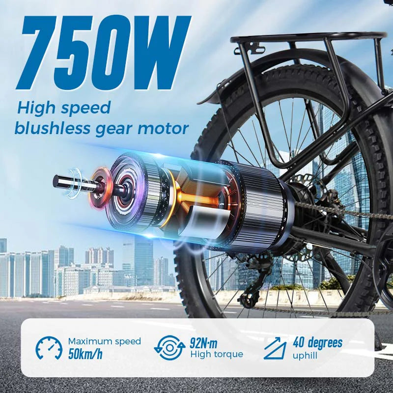 ChamRider DM427 Electric Bike