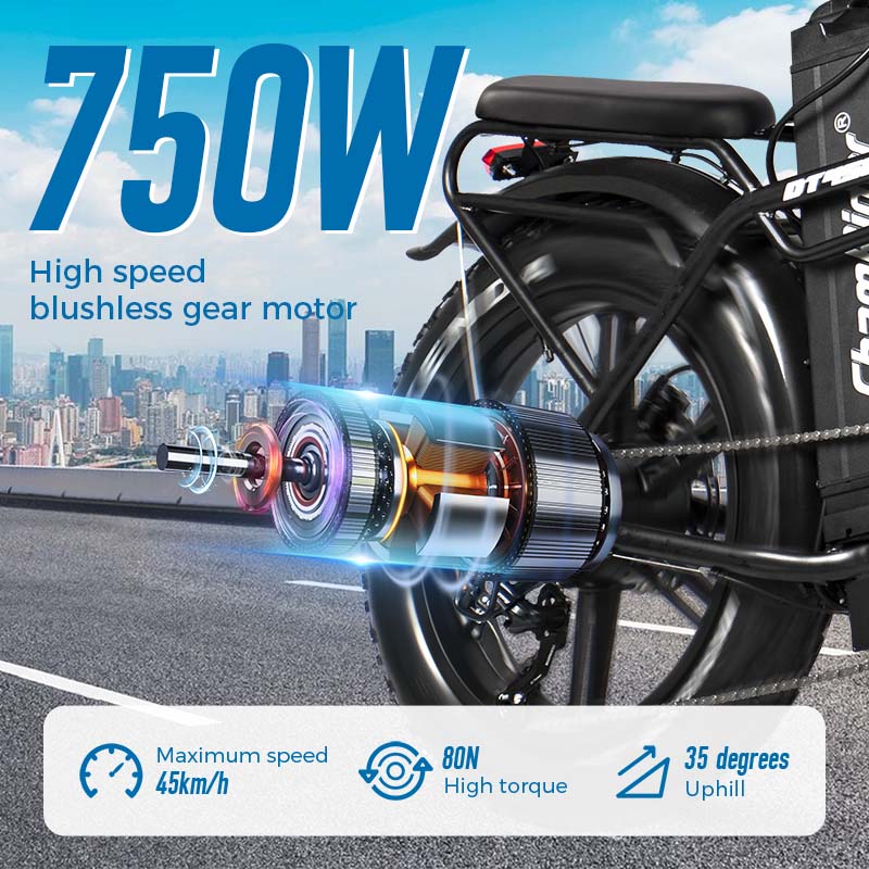 ChamRider DT450 Electric Bike
