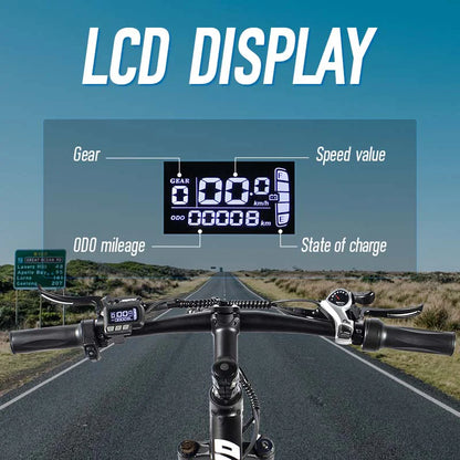 ChamRider DM427 Electric Bike