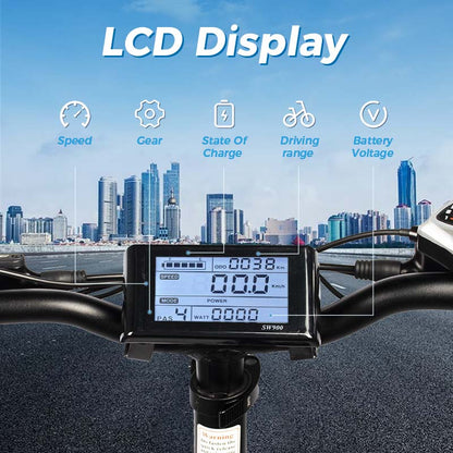 ChamRider DT450 Electric Bike