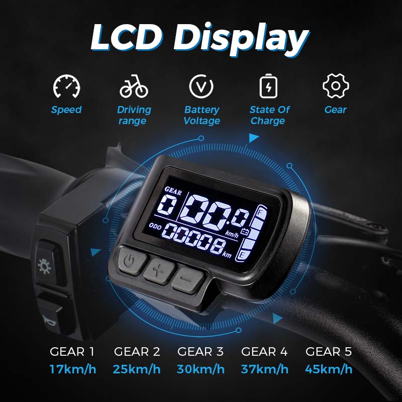ChamRider DTS425 Electric Bike