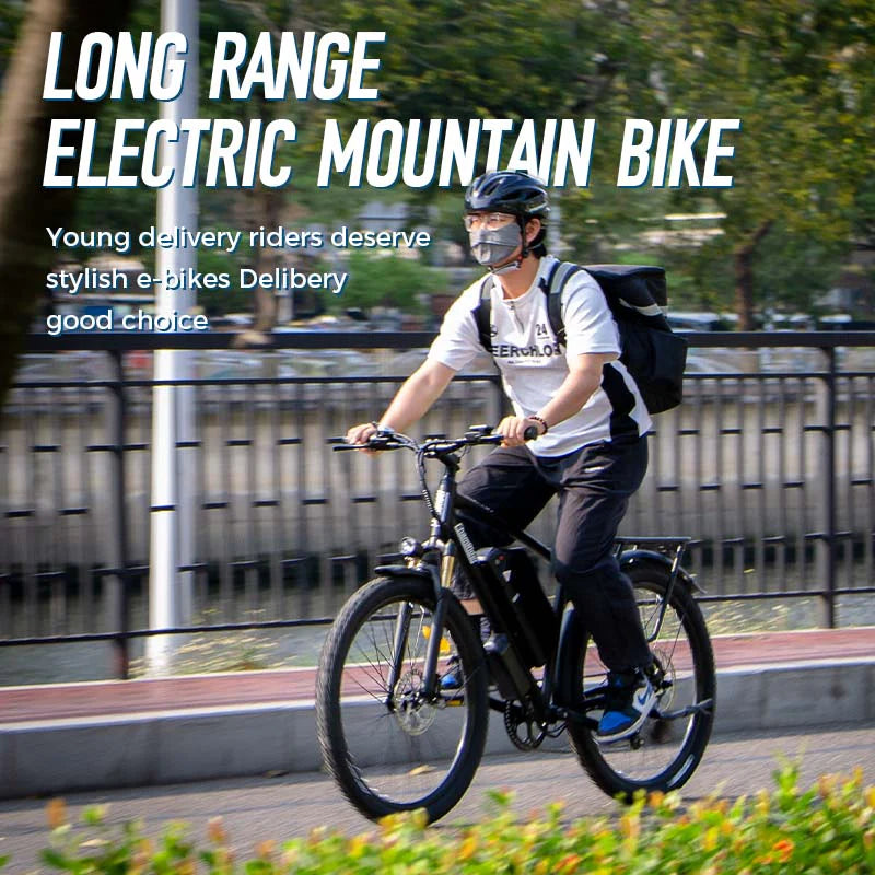 ChamRider DM427 Electric Bike