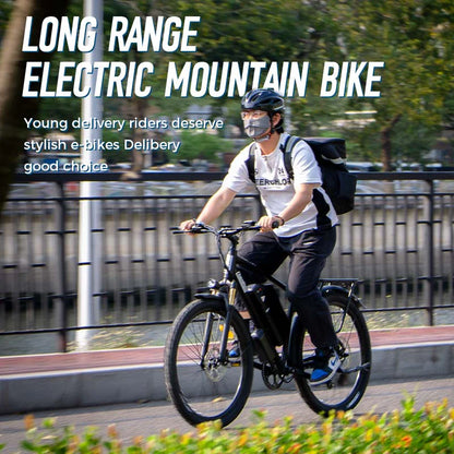 ChamRider DM427 Electric Bike