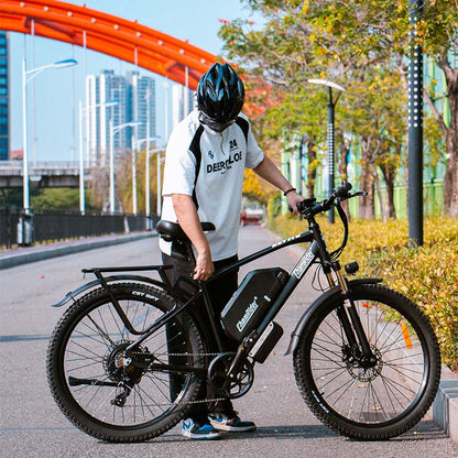 ChamRider DM427 Electric Bike
