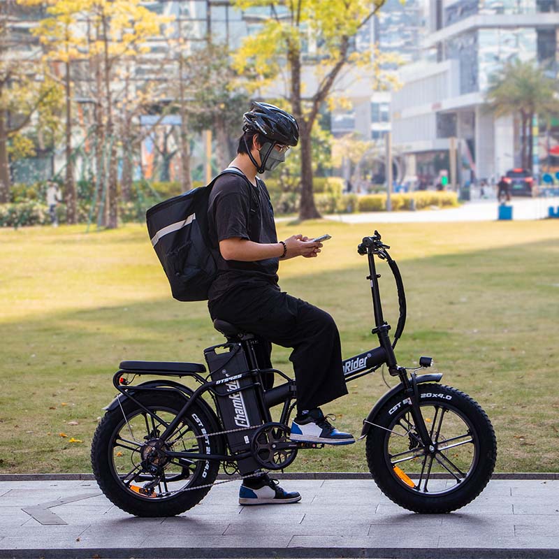 ChamRider DTS425 Electric Bike