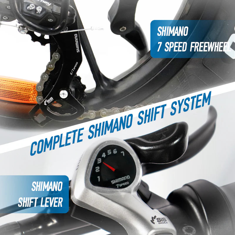 ChamRider DTS425 Electric Bike