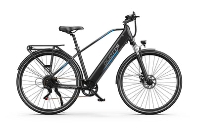 DUOTTS C29 Lite Electric Bike