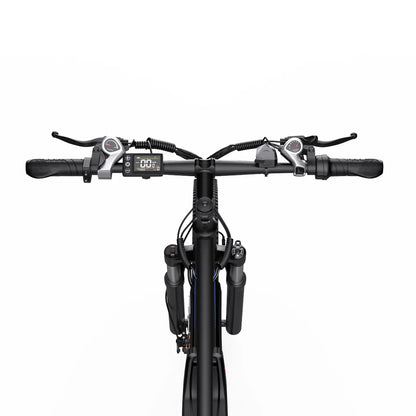 DUOTTS C29 Pro Electric Mountain Bike