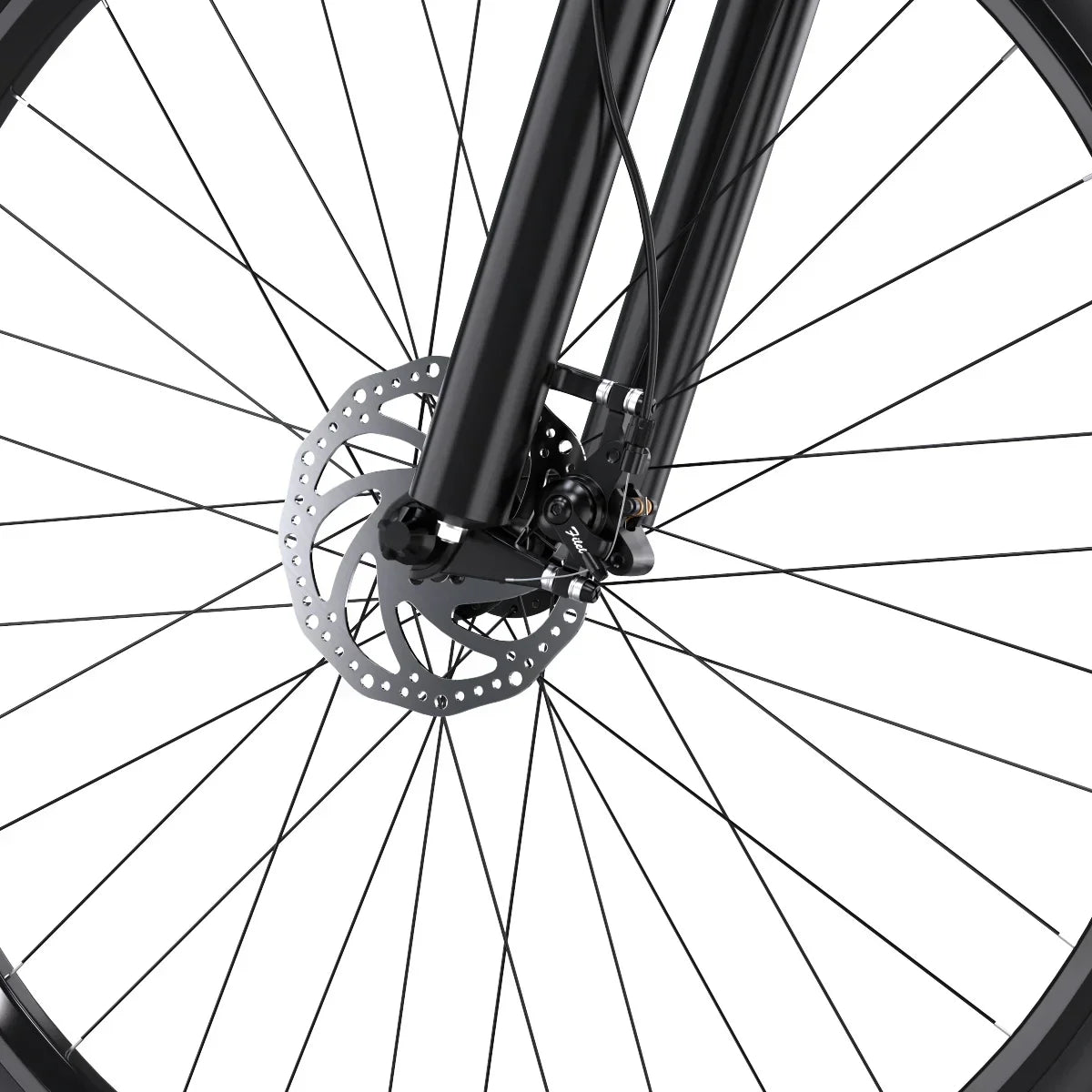 DUOTTS C29 Pro Electric Mountain Bike