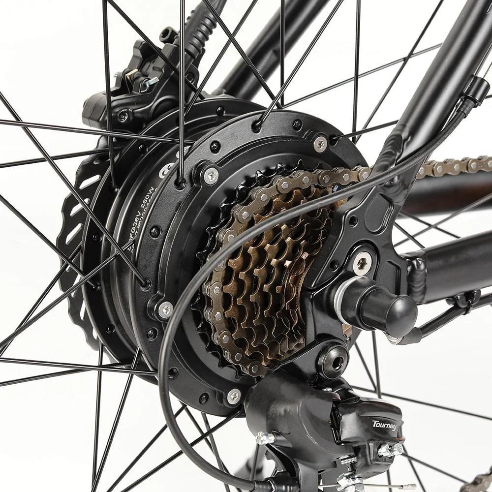 Eleglide M2 Electric Mountain Bike