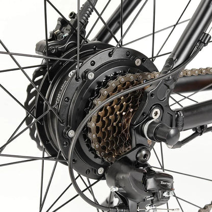 Eleglide M2 Electric Mountain Bike
