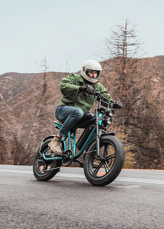 Engwe M20 Electric Bike