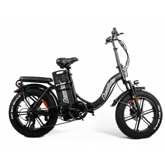 ChamRider DT450 Electric Bike