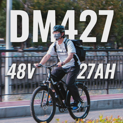 ChamRider DM427 Electric Bike